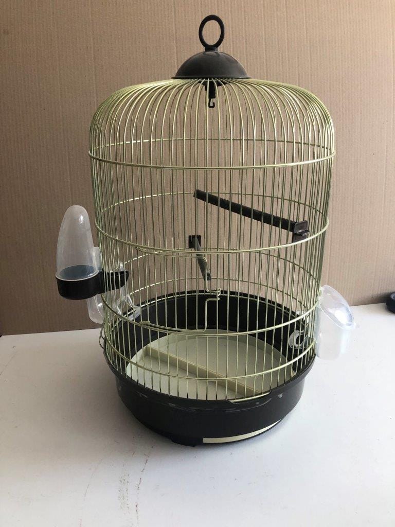 colivie-d30xh50-stare-vf