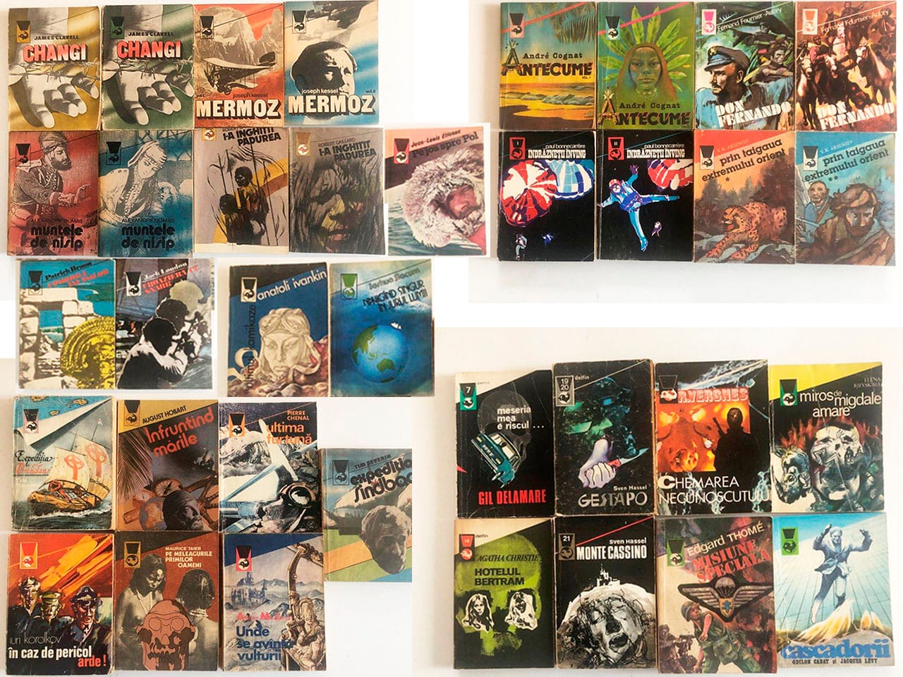 delfin-ed-meridiane-36-bucati