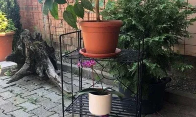 etajera-neagra-3-nivele-fier