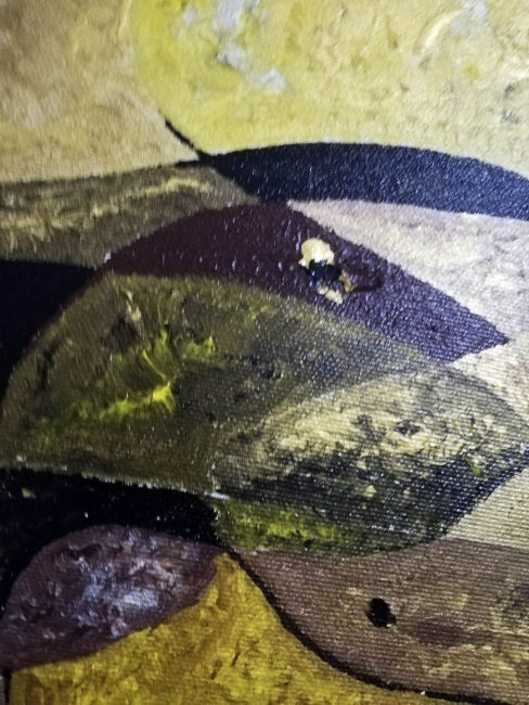 simbioza-carmen-flack-70-80-detaliu-2